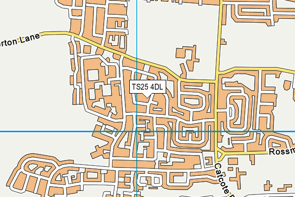 TS25 4DL map - OS VectorMap District (Ordnance Survey)