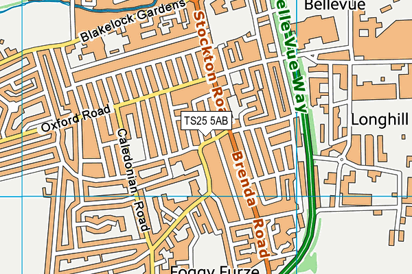 TS25 5AB map - OS VectorMap District (Ordnance Survey)