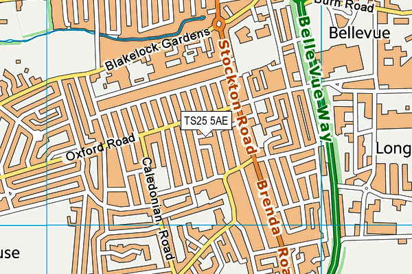 TS25 5AE map - OS VectorMap District (Ordnance Survey)