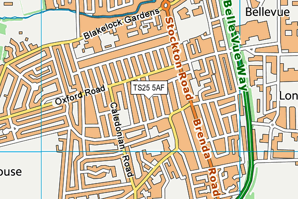 TS25 5AF map - OS VectorMap District (Ordnance Survey)