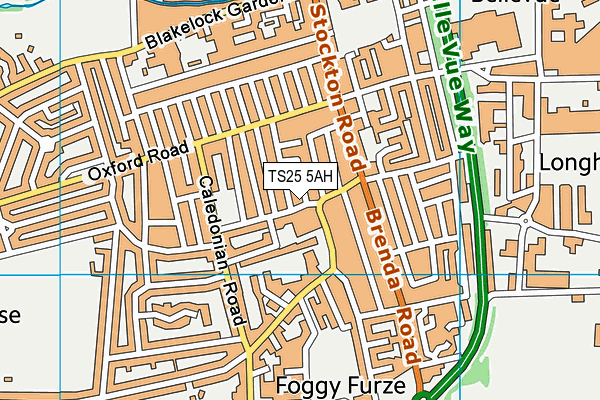 TS25 5AH map - OS VectorMap District (Ordnance Survey)