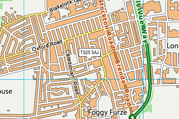 St Cuthbert's Catholic Primary School, Hartlepool map (TS25 5AJ) - OS VectorMap District (Ordnance Survey)