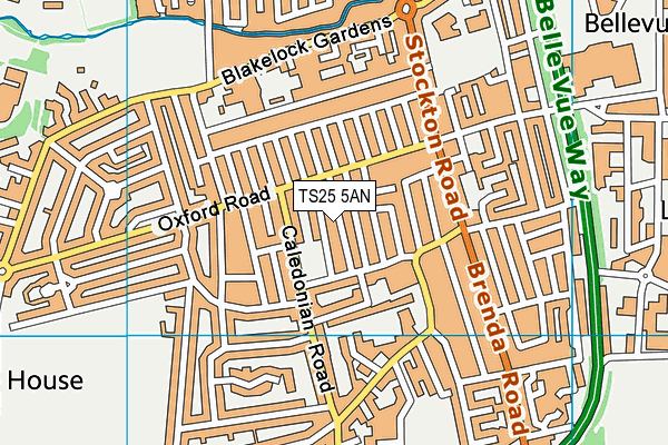 TS25 5AN map - OS VectorMap District (Ordnance Survey)