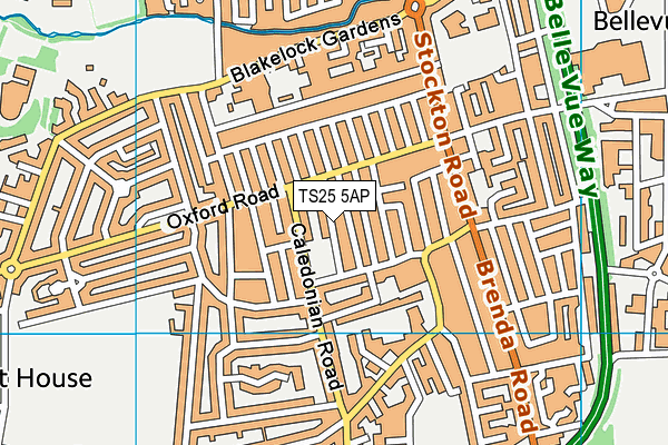 TS25 5AP map - OS VectorMap District (Ordnance Survey)