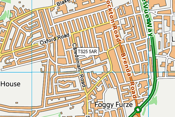 TS25 5AR map - OS VectorMap District (Ordnance Survey)