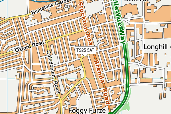 TS25 5AT map - OS VectorMap District (Ordnance Survey)