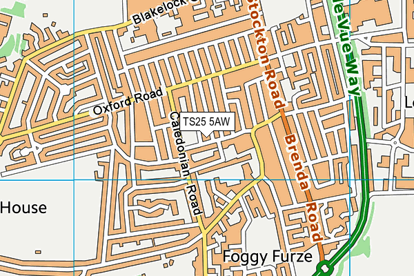 TS25 5AW map - OS VectorMap District (Ordnance Survey)