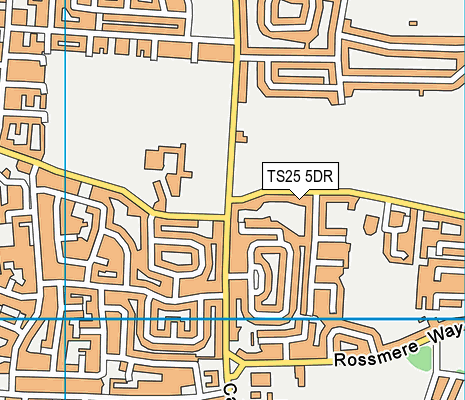 TS25 5DR map - OS VectorMap District (Ordnance Survey)