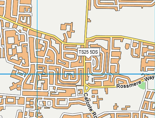 TS25 5DS map - OS VectorMap District (Ordnance Survey)