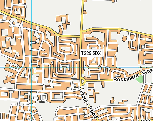 TS25 5DX map - OS VectorMap District (Ordnance Survey)