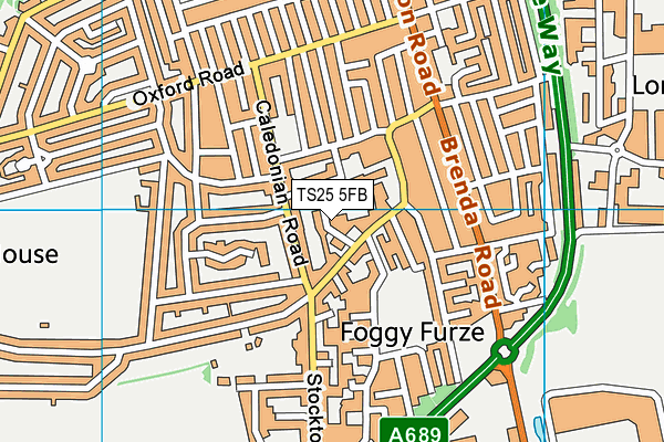 TS25 5FB map - OS VectorMap District (Ordnance Survey)