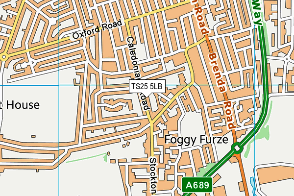 TS25 5LB map - OS VectorMap District (Ordnance Survey)