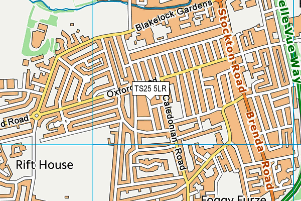 TS25 5LR map - OS VectorMap District (Ordnance Survey)