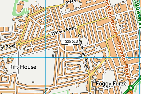 TS25 5LS map - OS VectorMap District (Ordnance Survey)