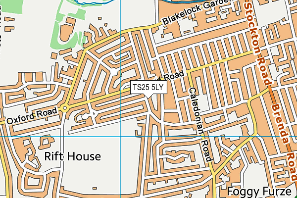 TS25 5LY map - OS VectorMap District (Ordnance Survey)