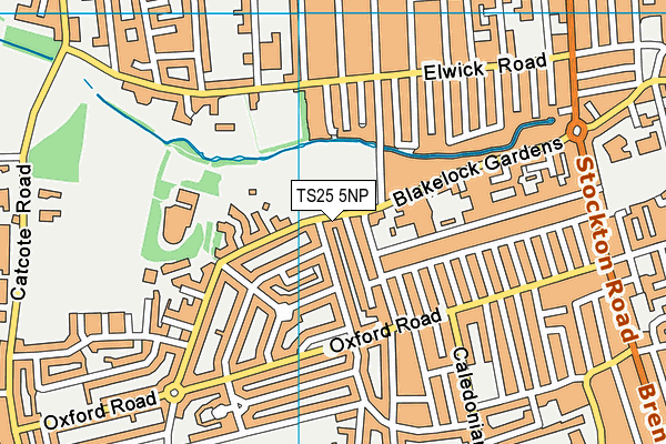 TS25 5NP map - OS VectorMap District (Ordnance Survey)