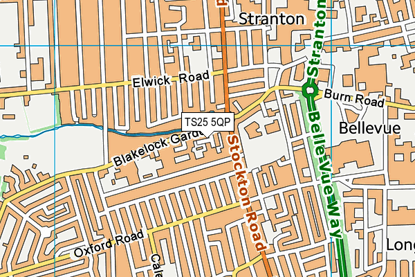 TS25 5QP map - OS VectorMap District (Ordnance Survey)