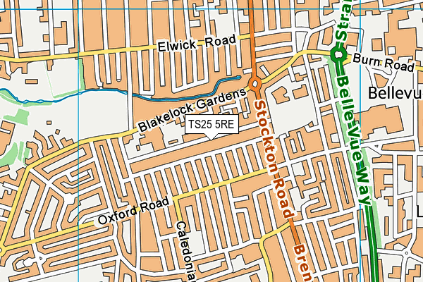 TS25 5RE map - OS VectorMap District (Ordnance Survey)