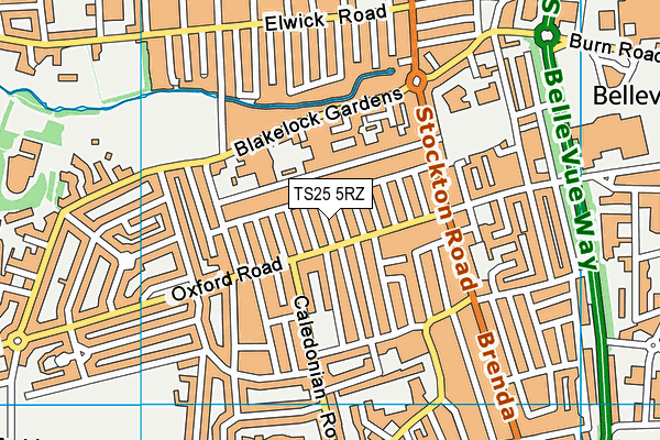 TS25 5RZ map - OS VectorMap District (Ordnance Survey)