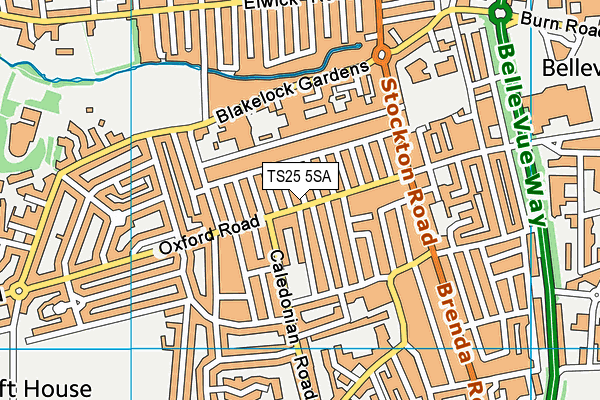 TS25 5SA map - OS VectorMap District (Ordnance Survey)