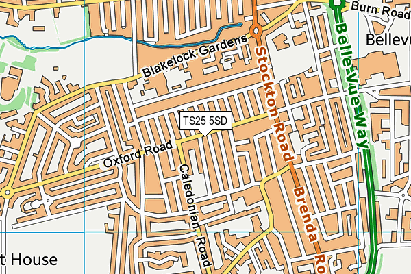TS25 5SD map - OS VectorMap District (Ordnance Survey)