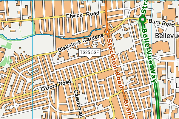 TS25 5SF map - OS VectorMap District (Ordnance Survey)