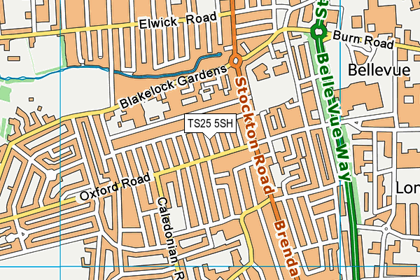 TS25 5SH map - OS VectorMap District (Ordnance Survey)