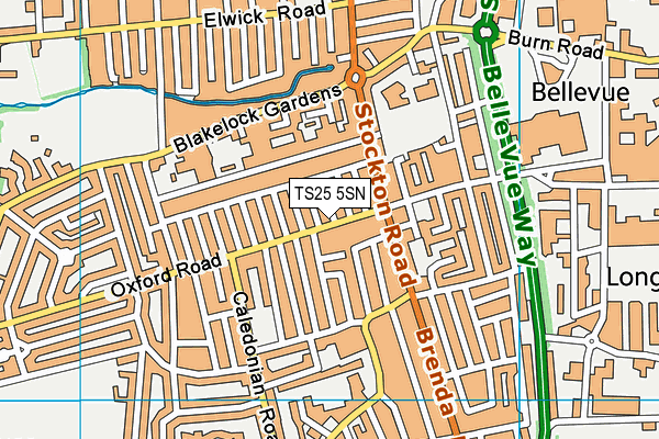 TS25 5SN map - OS VectorMap District (Ordnance Survey)