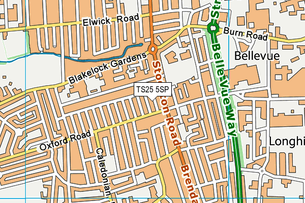 TS25 5SP map - OS VectorMap District (Ordnance Survey)