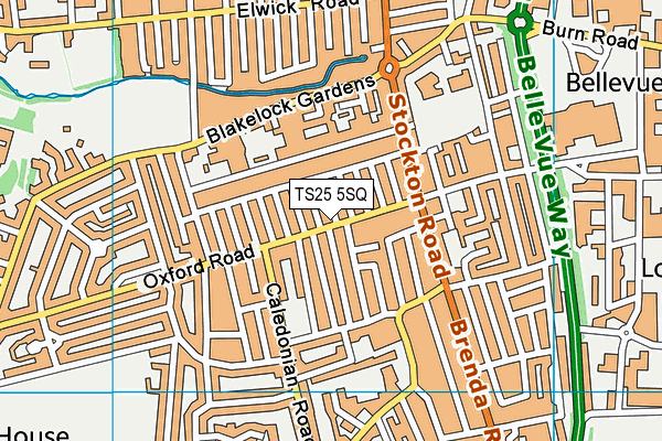 TS25 5SQ map - OS VectorMap District (Ordnance Survey)