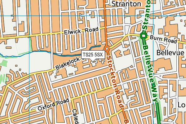 TS25 5SX map - OS VectorMap District (Ordnance Survey)