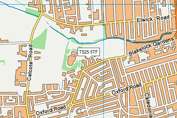 TS25 5TF map - OS VectorMap District (Ordnance Survey)