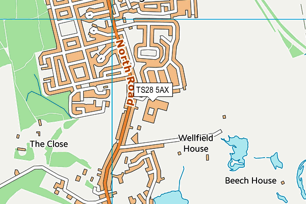 Wellfield School map (TS28 5AX) - OS VectorMap District (Ordnance Survey)
