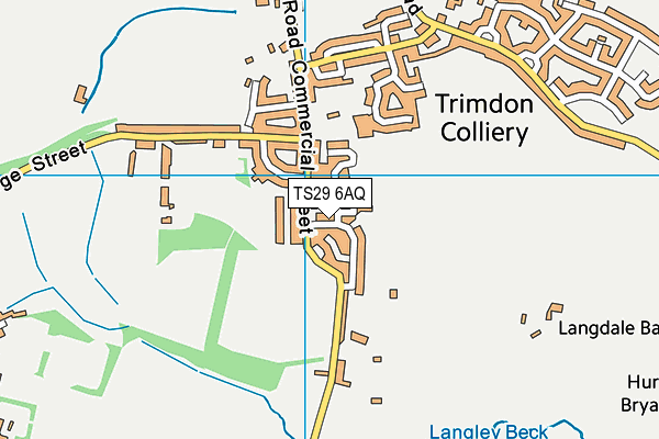 TS29 6AQ map - OS VectorMap District (Ordnance Survey)