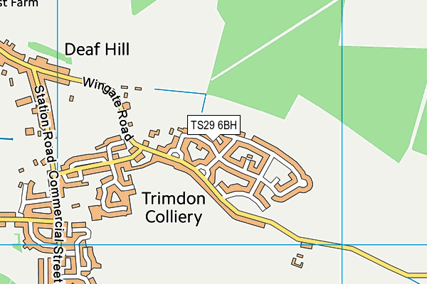 TS29 6BH map - OS VectorMap District (Ordnance Survey)