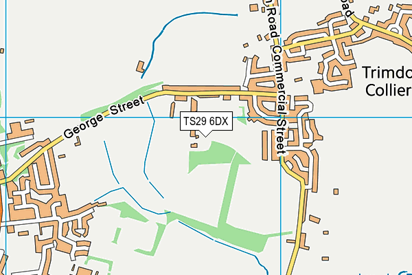 TS29 6DX map - OS VectorMap District (Ordnance Survey)