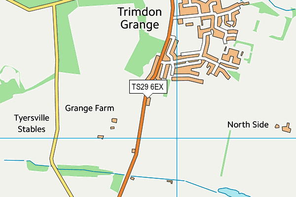 TS29 6EX map - OS VectorMap District (Ordnance Survey)