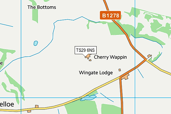 TS29 6NS map - OS VectorMap District (Ordnance Survey)