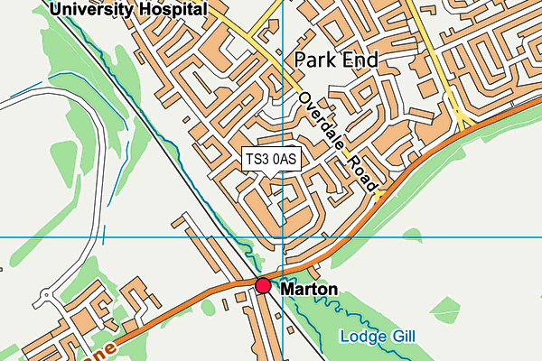 TS3 0AS map - OS VectorMap District (Ordnance Survey)