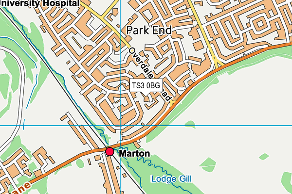 TS3 0BG map - OS VectorMap District (Ordnance Survey)