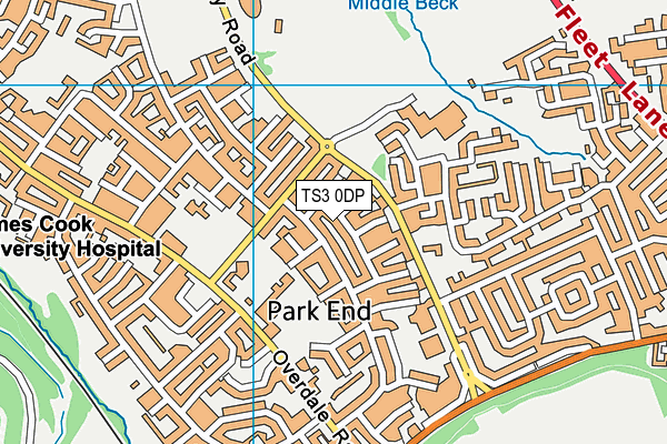 TS3 0DP map - OS VectorMap District (Ordnance Survey)