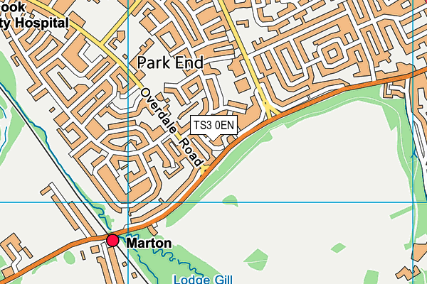 TS3 0EN map - OS VectorMap District (Ordnance Survey)