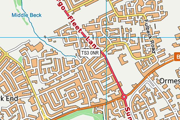 TS3 0NR map - OS VectorMap District (Ordnance Survey)