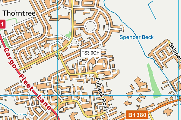 TS3 0QH map - OS VectorMap District (Ordnance Survey)