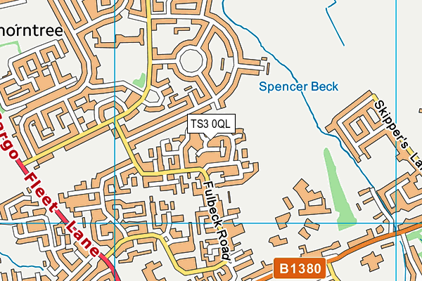 TS3 0QL map - OS VectorMap District (Ordnance Survey)