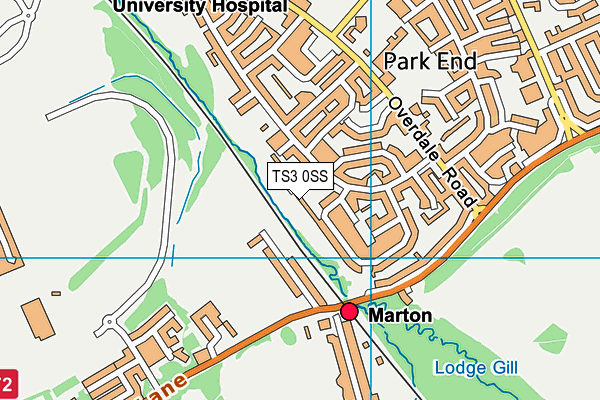 TS3 0SS map - OS VectorMap District (Ordnance Survey)