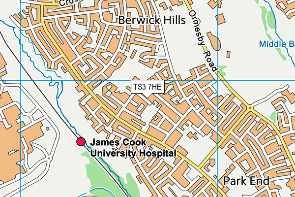 TS3 7HE map - OS VectorMap District (Ordnance Survey)