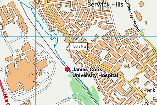 TS3 7NG map - OS VectorMap District (Ordnance Survey)