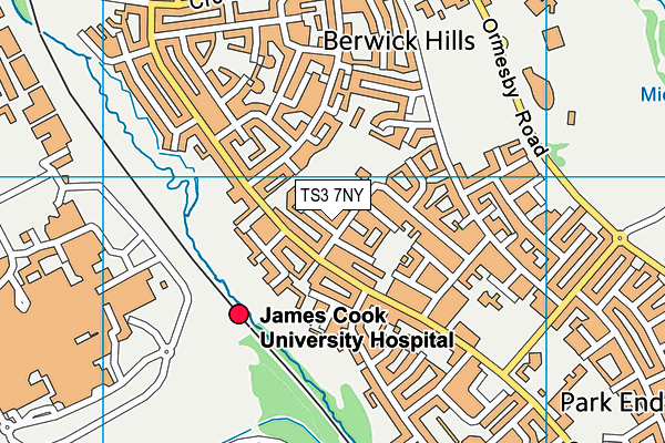 TS3 7NY map - OS VectorMap District (Ordnance Survey)