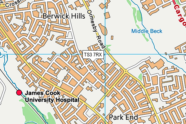 TS3 7RX map - OS VectorMap District (Ordnance Survey)